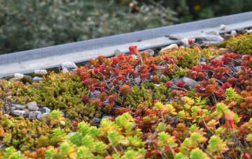 the cost of Stock Green green roof installation
