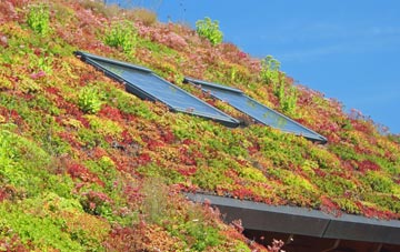 Stock Green living roof systems