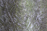 Stock Green fibreglass roof work